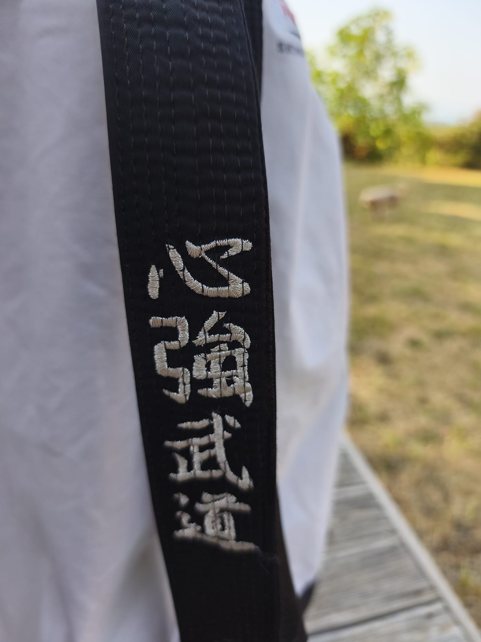 Ceinture kanjis SKBD