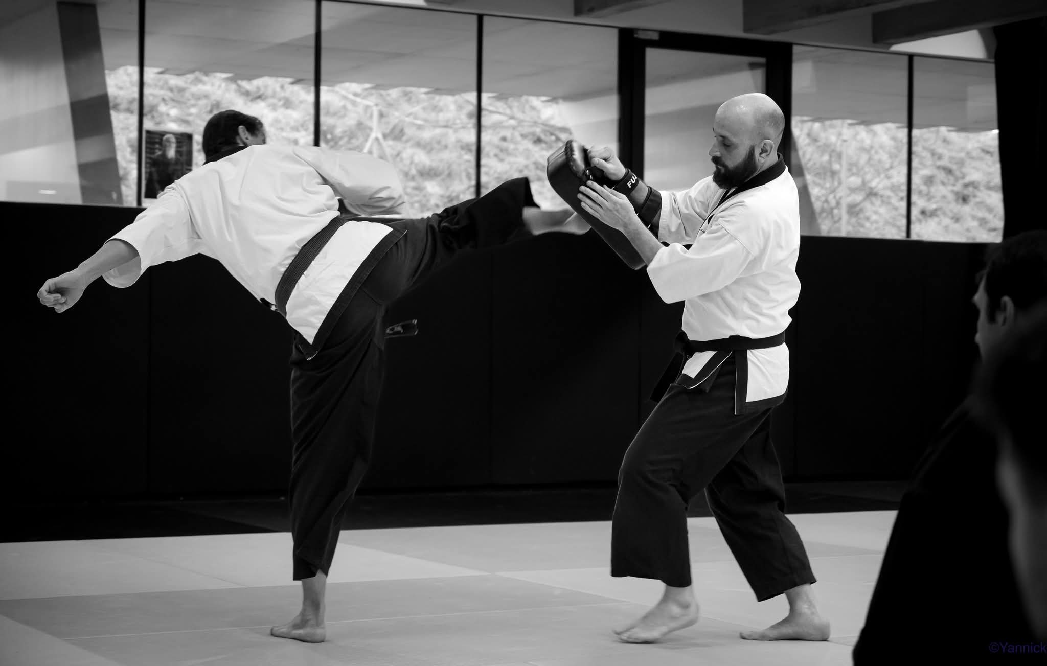 JB Ushiro ura mawashi pao François